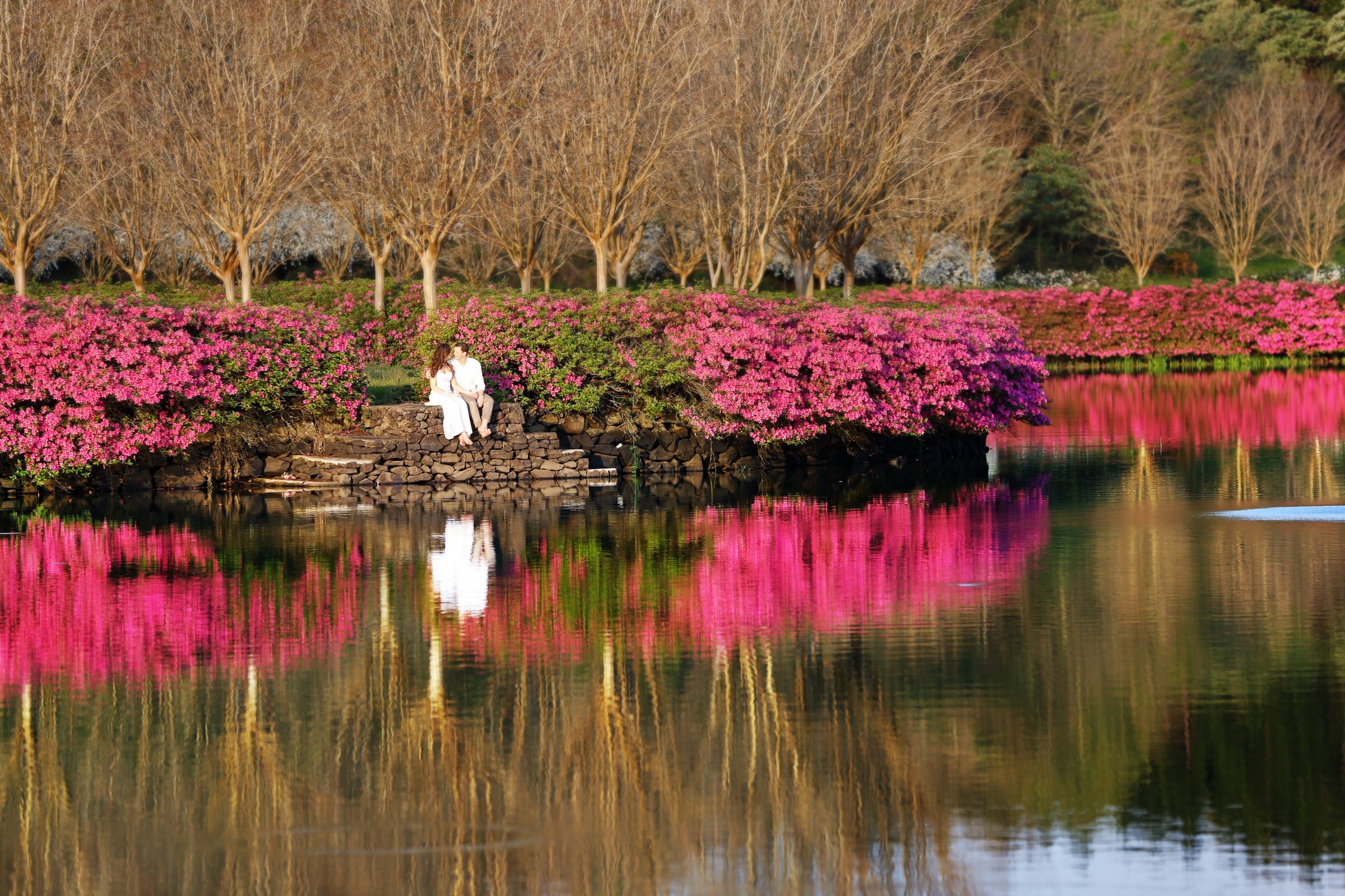 Foto de Adri Marcolan fotografia 1