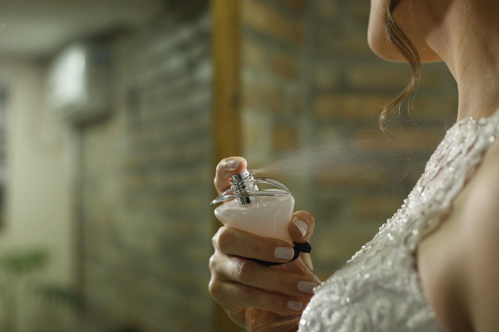 Foto Wedding Andressa e Fábio - Imagem 17