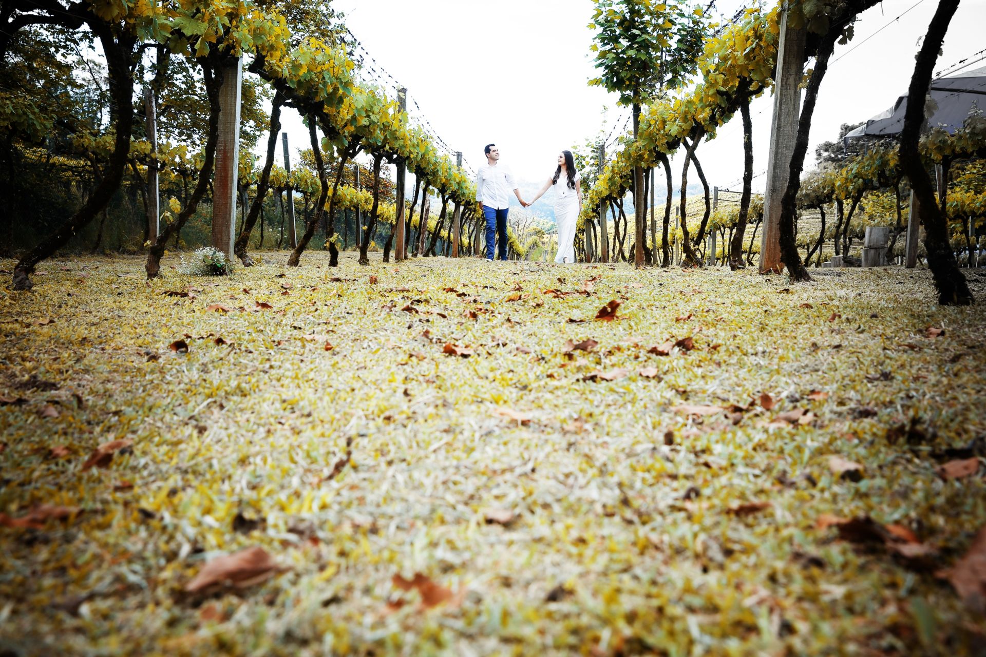 Foto Mileni e Jean - Imagem 29