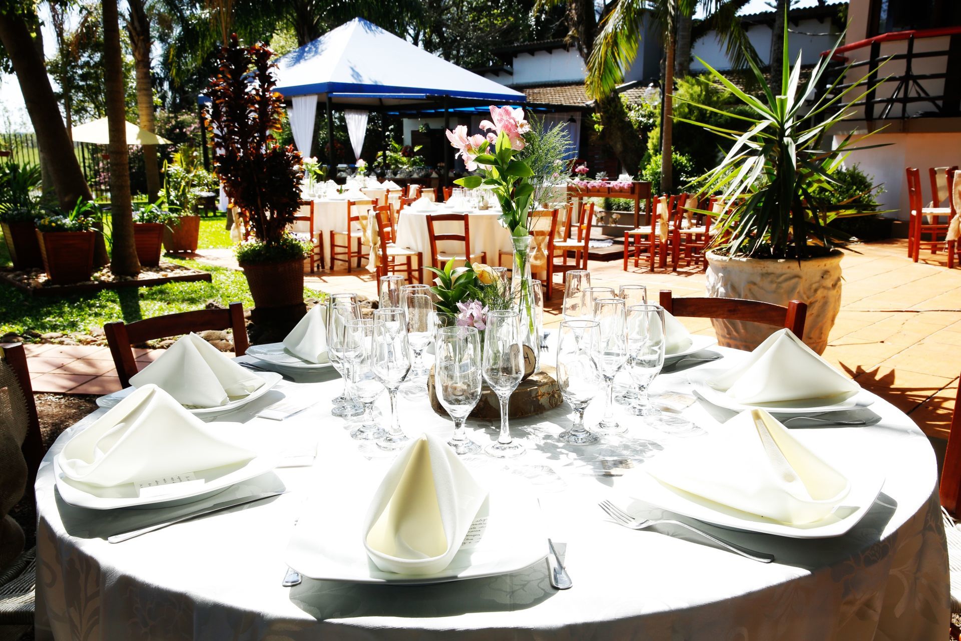 Foto Wedding Carol e João - Imagem 1