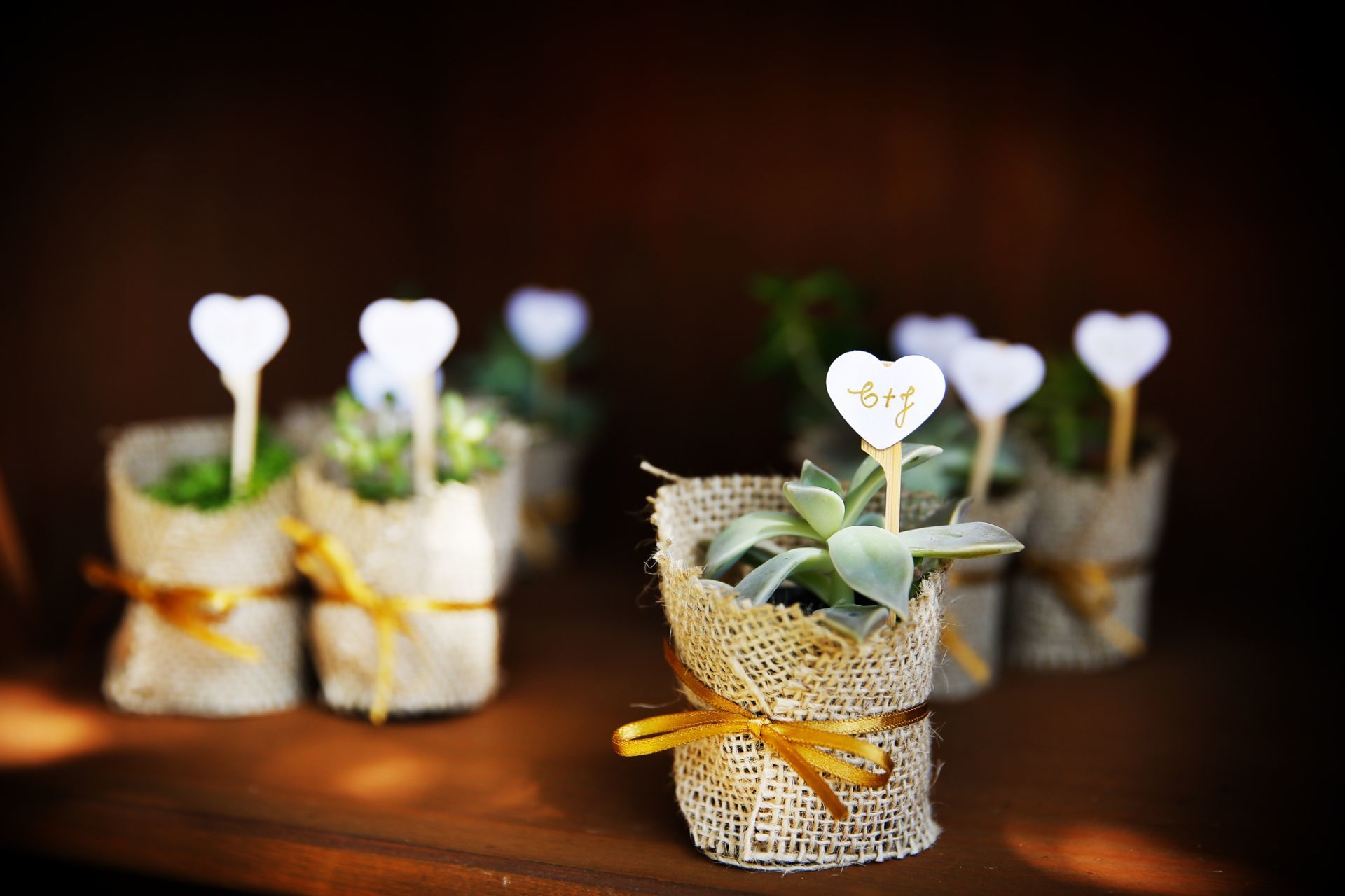 Foto Wedding Carol e João - Imagem 7