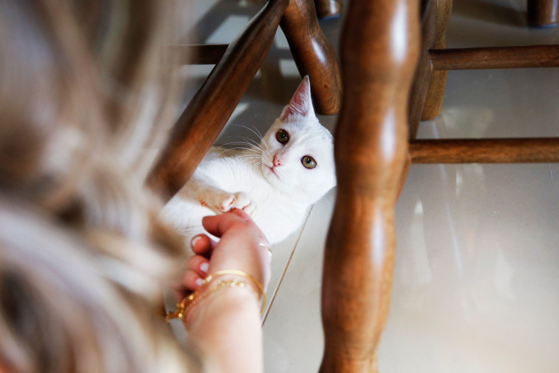 Foto Wedding Thais e Gabriel - Imagem 2